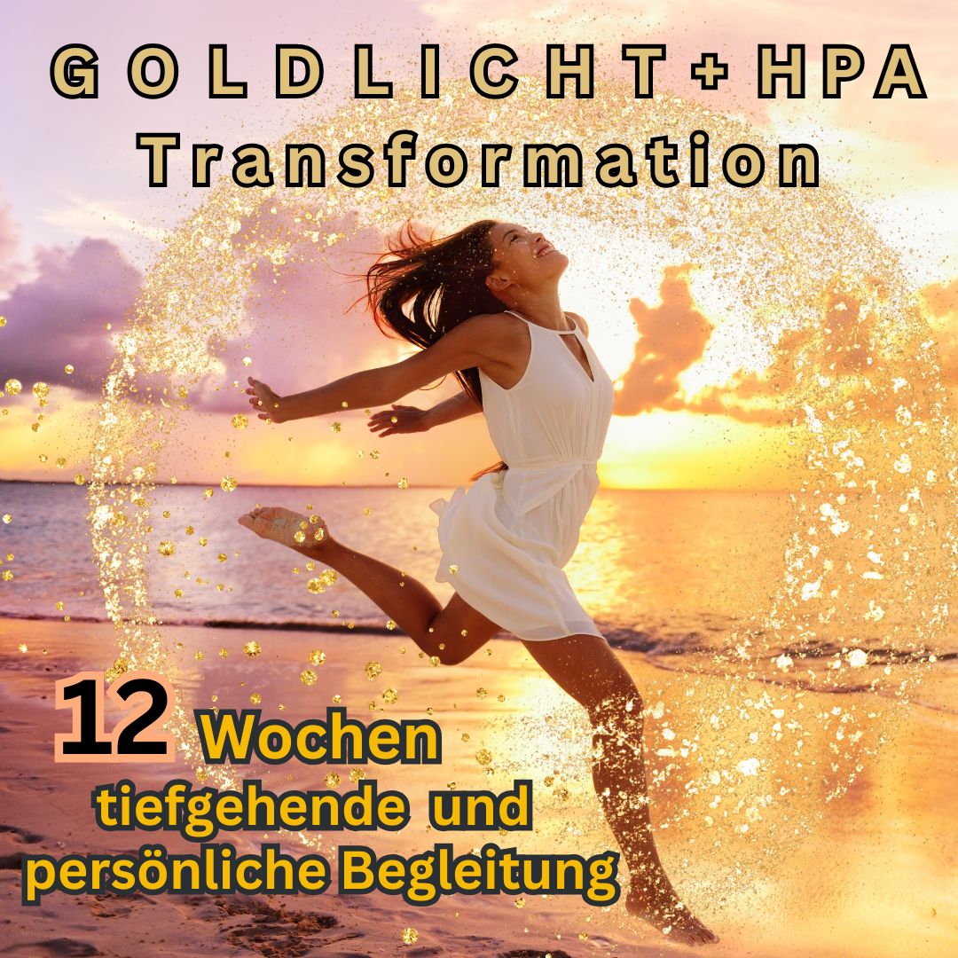 12 Wochen - Premium Transformation